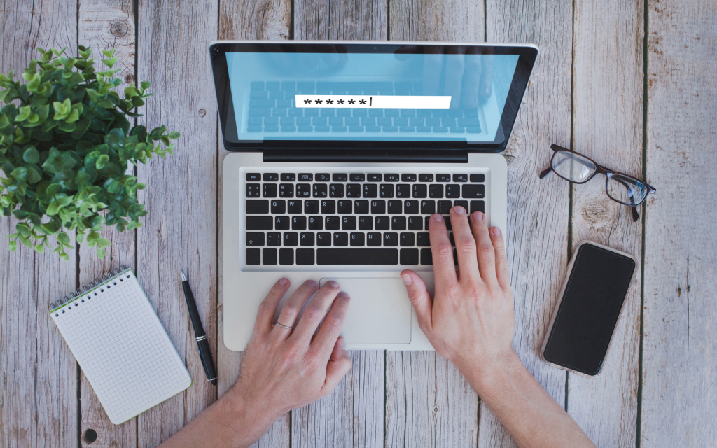 Field Masking: Protect Sensitive Data in Online Forms