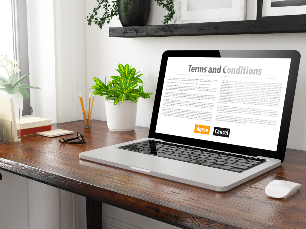 website standard terms and conditions