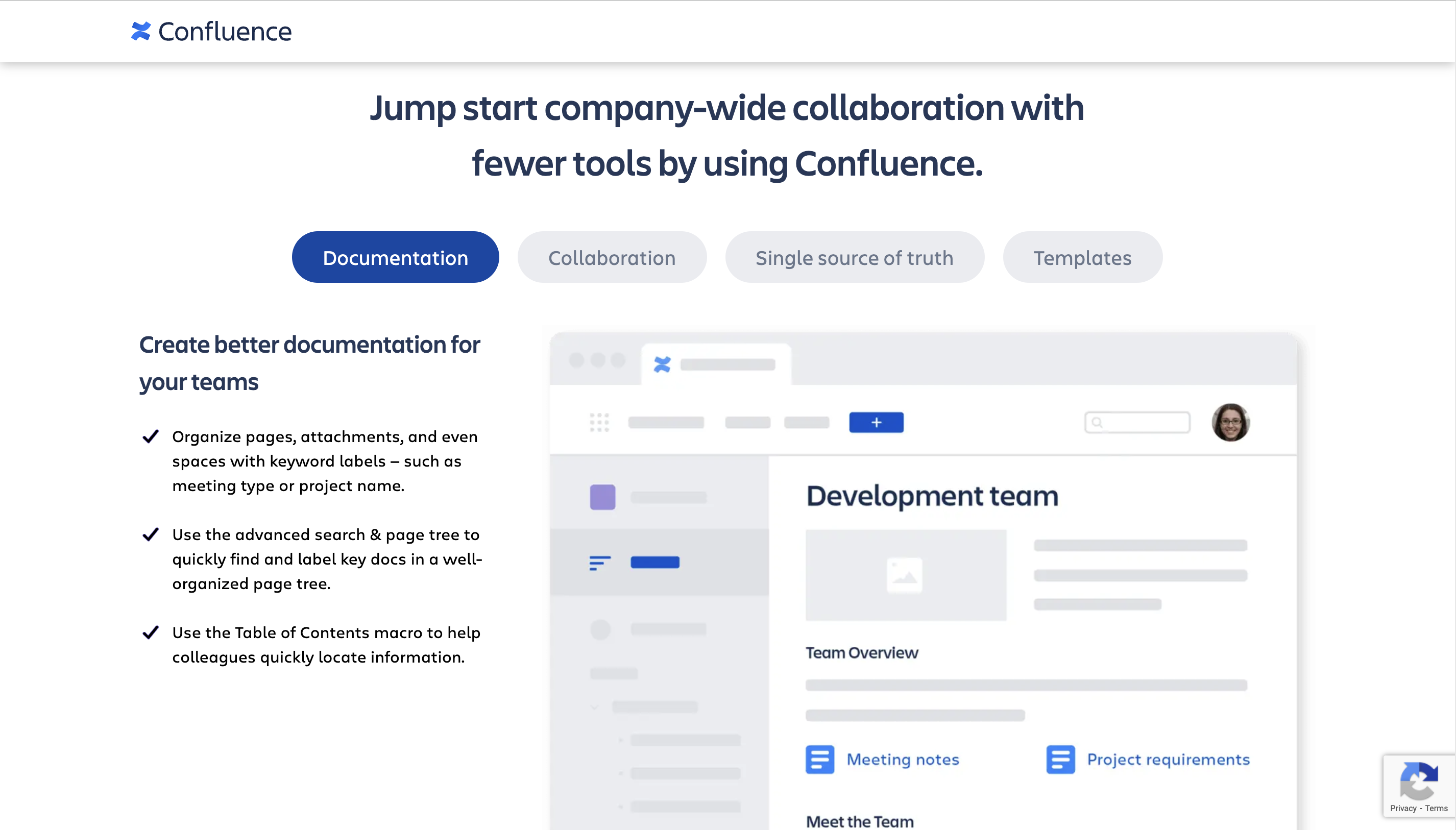 Document Collaboration Tools