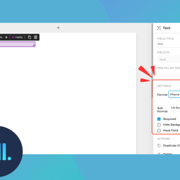 New Fields and Validation Formats