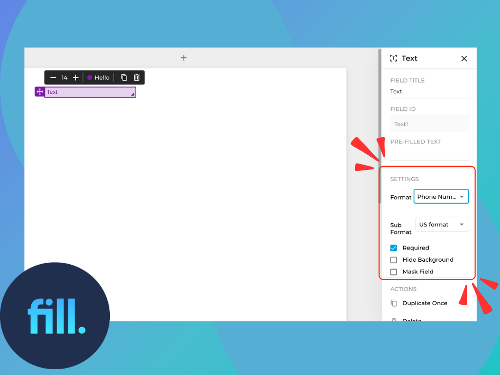 New Fields and Validation Formats