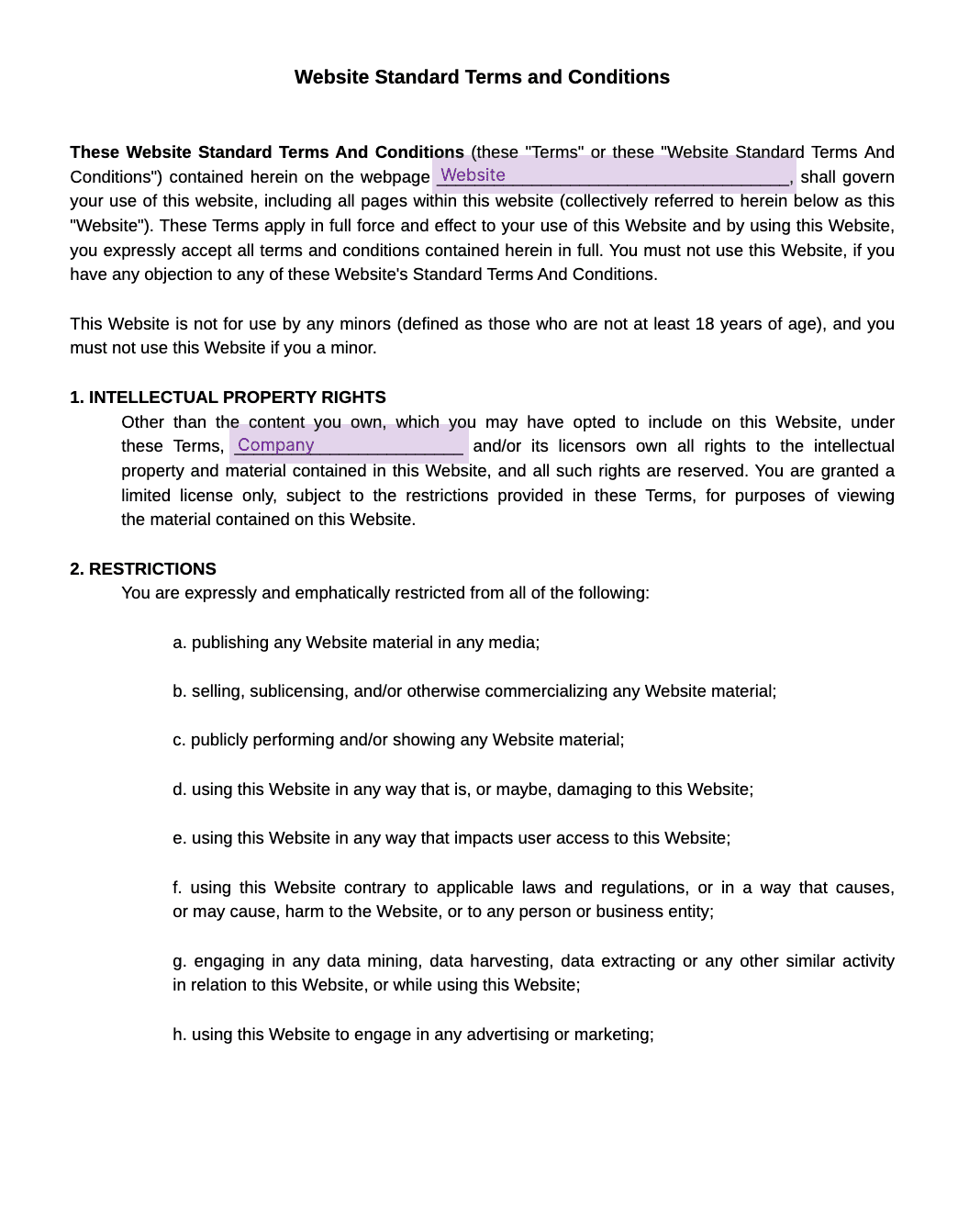 website standard terms and conditions template