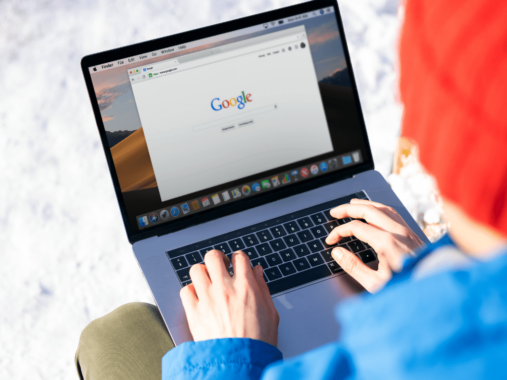website standard terms and conditions